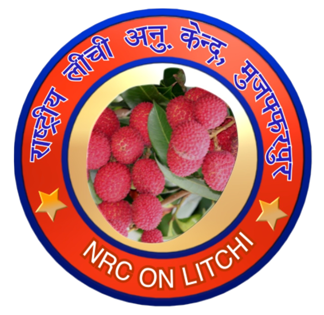 NRCL - National Research Centre On Litchi