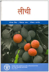 Cover photo of लीची