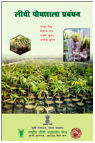 Cover photo of लीची पौधशाला प्रबंधन