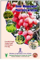 Cover photo of Good Management Practices in Litchi